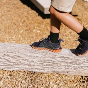 Neurodivergent Students’ Inclusive Playground Needs icon