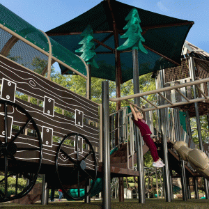 Swing, Strengthen, Grow: The Benefits of Brachiating for Children icon