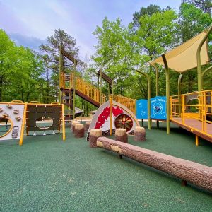Top Playground Trends for 2025: What Communities in the Southeast Are Asking For icon